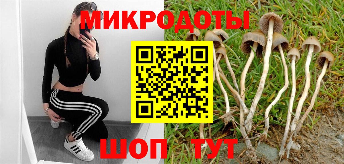 Псилоцибиновые грибы ЛСД Заринск