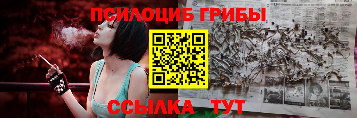 Заринск  наркотики  Вход с VPN  Псилоцибиновые грибы MAGIC MUSHROOMS 
